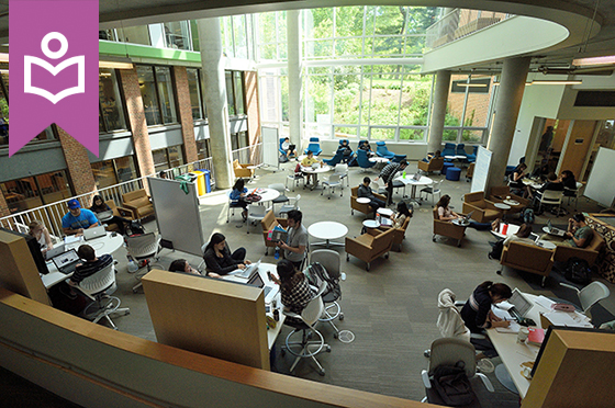 Photo of the interior of brody learning commons with students studying. This is a study space.